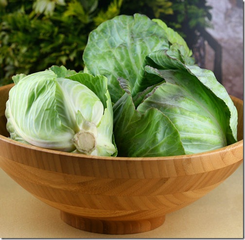 cabbages3