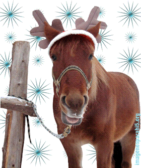 felices_fiestas37566 felices_fiestas37566