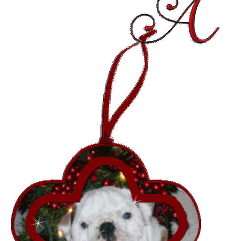 Letras animadas Navidad con un perro bulldog