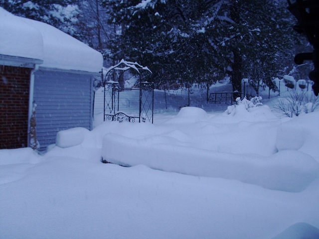 [more snow 2010 005[4].jpg]