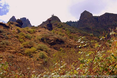 1350 Los Barrancos(Roques de Tenteniguada) 1350 Los Barrancos(Roques de Tenteniguada)