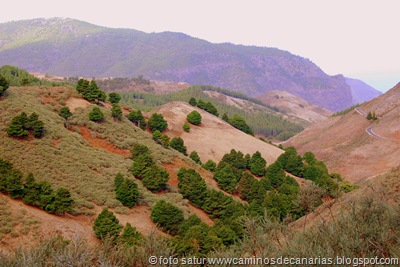 1440 Pinos de Gáldar-Gáldar 1440 Pinos de Gáldar-Gáldar