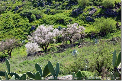 2383 Cascajales-Ingenio(Almendros) 2383 Cascajales-Ingenio(Almendros)