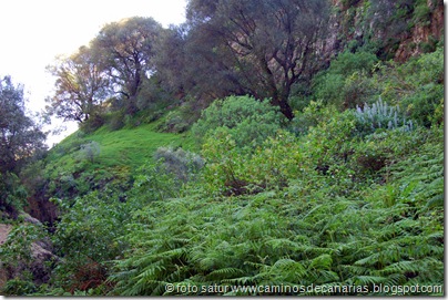 2333 Barranco Cenícalos 2333 Barranco Cenícalos