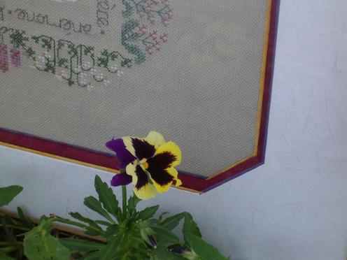 http://lh3.ggpht.com/_Af2NJS5Y8NA/S1IEn8DlVGI/AAAAAAAAAiM/Btp_n9j6Jok/imgp2246.jpg