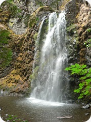 21 Waterfalls 18 Fall Creek Falls