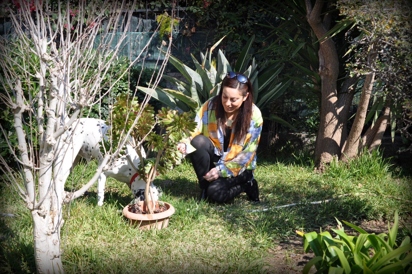 [DSC_0281 vignetta[2].png]