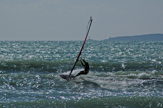 DSC_6902.jpg