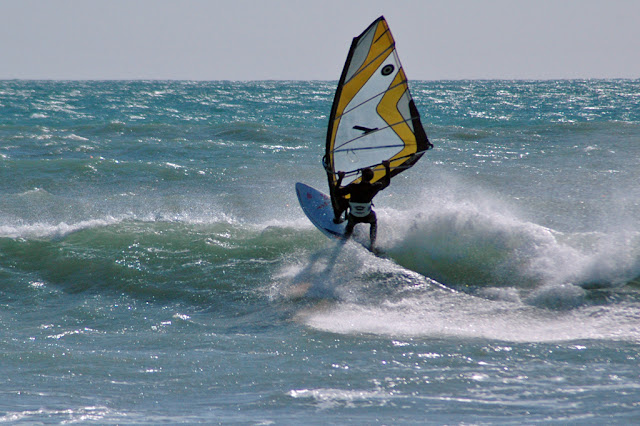 DSC_6893.jpg