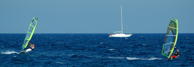 DSC_8173.JPG