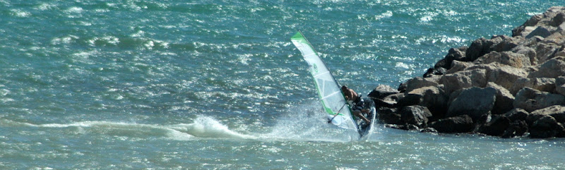 DSC_8231.JPG