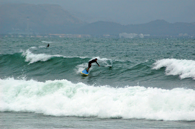 DSC_8893.JPG