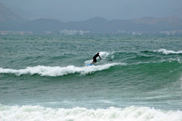 DSC_8890.JPG