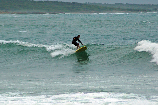 DSC_8919.JPG