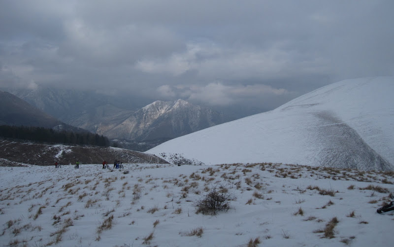 IMG_8445.JPG