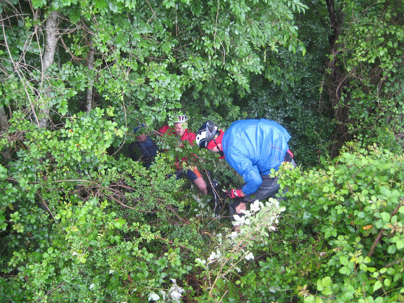 IMG_3365.JPG