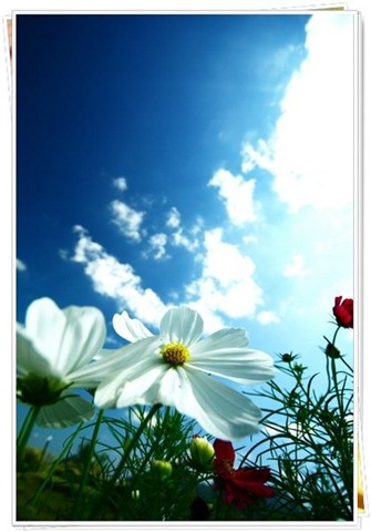 [IMG-5198-resize[3].jpg]