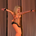 kb2008-00390.jpg