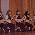 DPP_0083_800x448_800x448.JPG