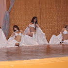 DPP_0169_800x533_800x533.JPG