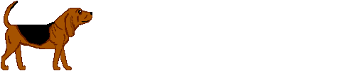 z13.png