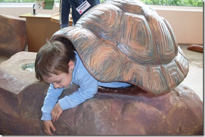 Aj-tartaruga al Museo della scienza di Strasburgo