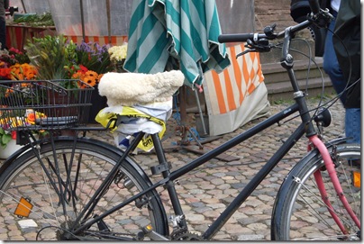 seggiolino peloso su una bici in munsterplatz