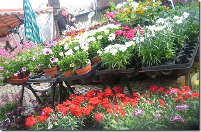 fiori al mercato in Munsterplatz