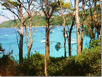 Vista di una delle spiagge di Porquerolles