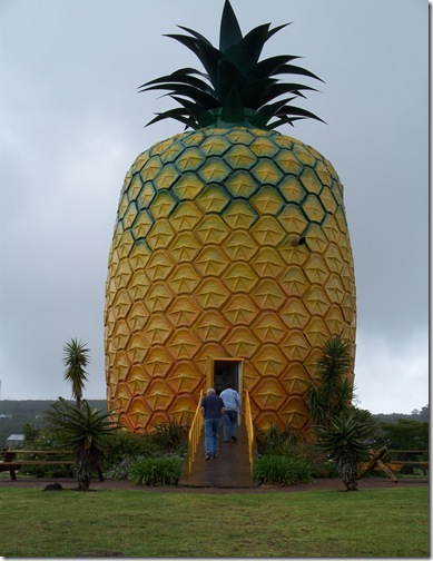 12-04-2009 006 Bathurst - The Big Pineapple