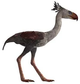 evi_phorusrhacos_large