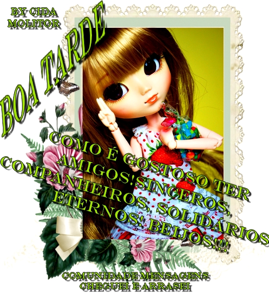 companheiro.jpg