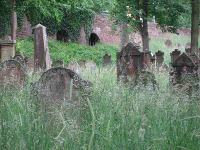[abandonded_cemetery24.jpg]
