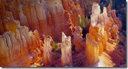 Bing_Background_BryceCanyonAmphitheater