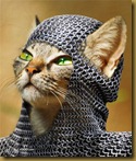 medieval-kitty-photomanipulation