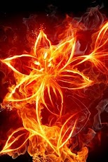 Burning Love ����