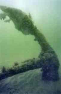 Anchor A3 is one of the anchors that now is undergoing an underwater conservation process at the shipwreck site of the presumed Queen Anne's Revenge