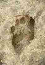 Fossil human footprints_02