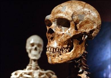 [090521-neanderthal-hmed-11a.hmedium[5].jpg]