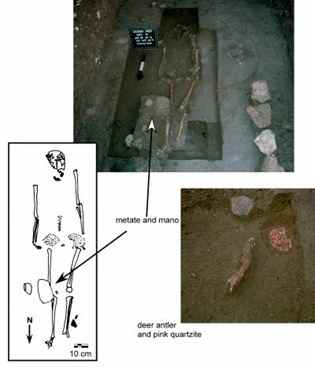 The torso and pelvis of this body, found in the floor of one of the homes Lucero excavated, had been removed. A matate and mano, used for grinding corn, were found near the right knee. A deer antler and pink quartzite stone were buried beneath the chest area [Image courtesy of Lisa J. Lucero]