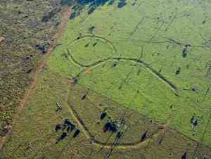 The crop circles of Santa Teresinha, Brazil, are seen in an undated photograph