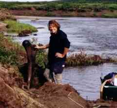 Professor Alan Cooper is pictured here with a mammoth bone. (Credit: University of Adelaide)