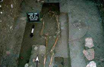 [maya burial_monster_397x224[6].jpg]