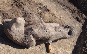 [Colossi.bmp,hmedium[5].jpg]