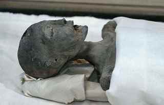The mummy of the mother of Egypt’s famed King Tutankhamun is displayed during a press conference by the head of the Egyptian Supreme Council of Antiquities to announce DNA results meant to reveal the parentage of King Tut at the Egyptian museum in Cairo, Egypt, on Feb. 17, 2010. Two years of DNA testing and CT scans on King Tutankhamun’s 3,300-year-old mummy and 15 others have provided the cause of death and the firmest family tree yet. (THE ASSOCIATED PRESS)