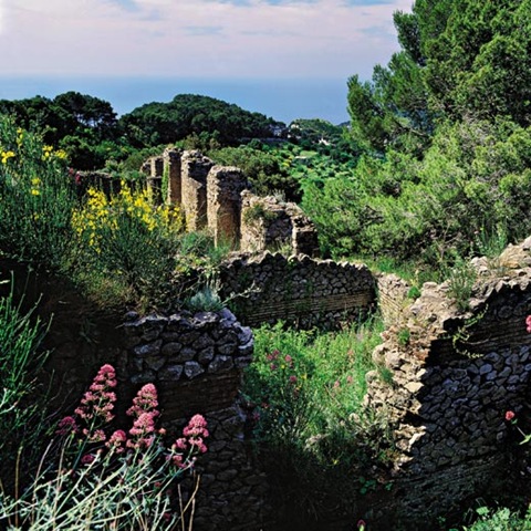 [Roman-Villas-Villa-Jovis-7[6].jpg]