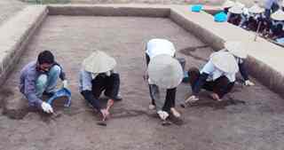 Excavation work in progress at the Den ramparts in Me Linh District, Hanoi. Scientists are intrigued by the possibility that 3,000-year-old rice grains collected from the site have sprouted after being soaked in water for two days.