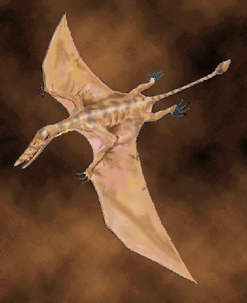 [pterosaur[5].gif]