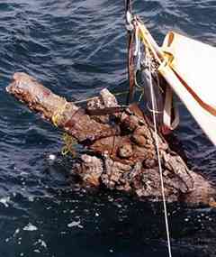 Archaeologists pull up a cannon encrusted with sea creatures and 278 years’ worth of corrosion from the supposed wreck of Queen Anne’s Revenge