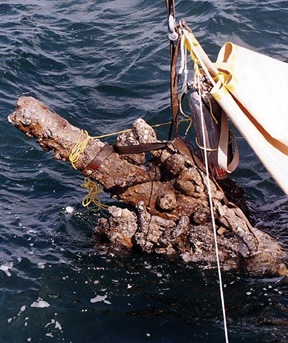 [feature_Blackbeard3[6].jpg]